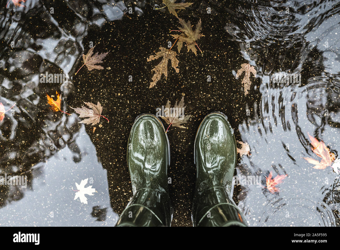 Feet in olive green rubber boots standing in a puddle with fallen