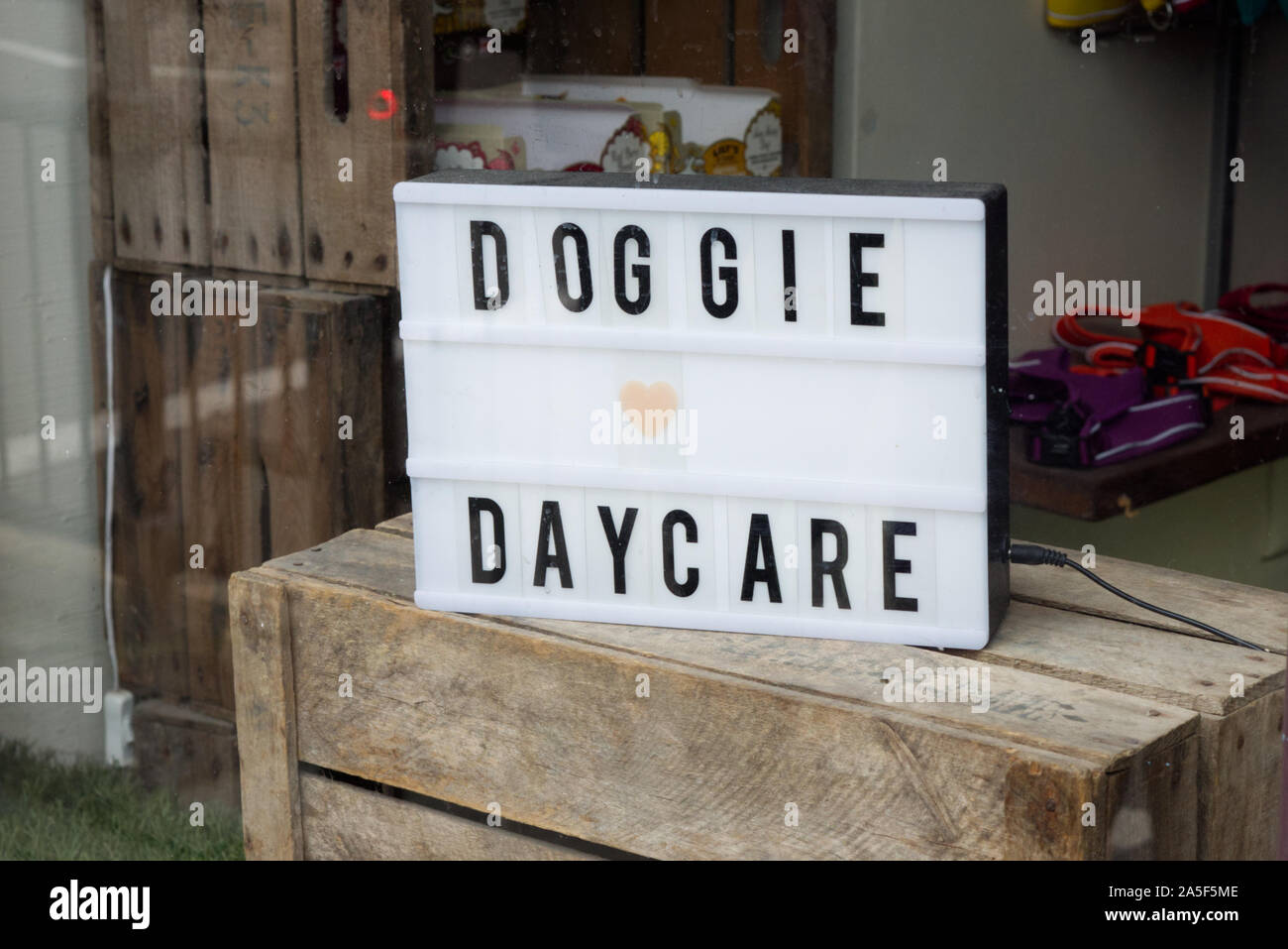 doggie daycare electric sign on a wooden box Stock Photo