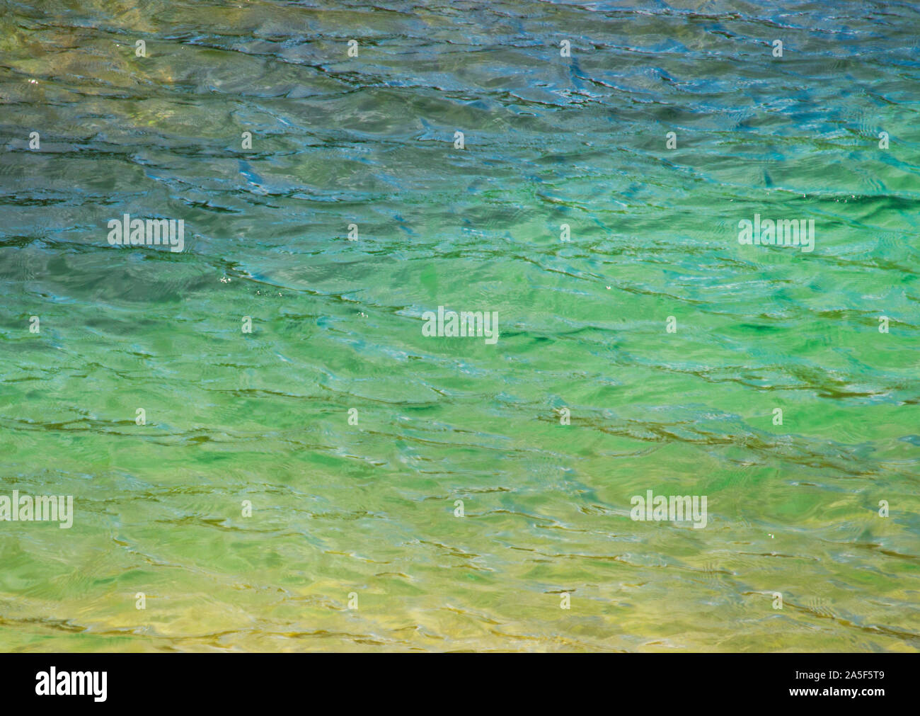 Water background. Stock Photo