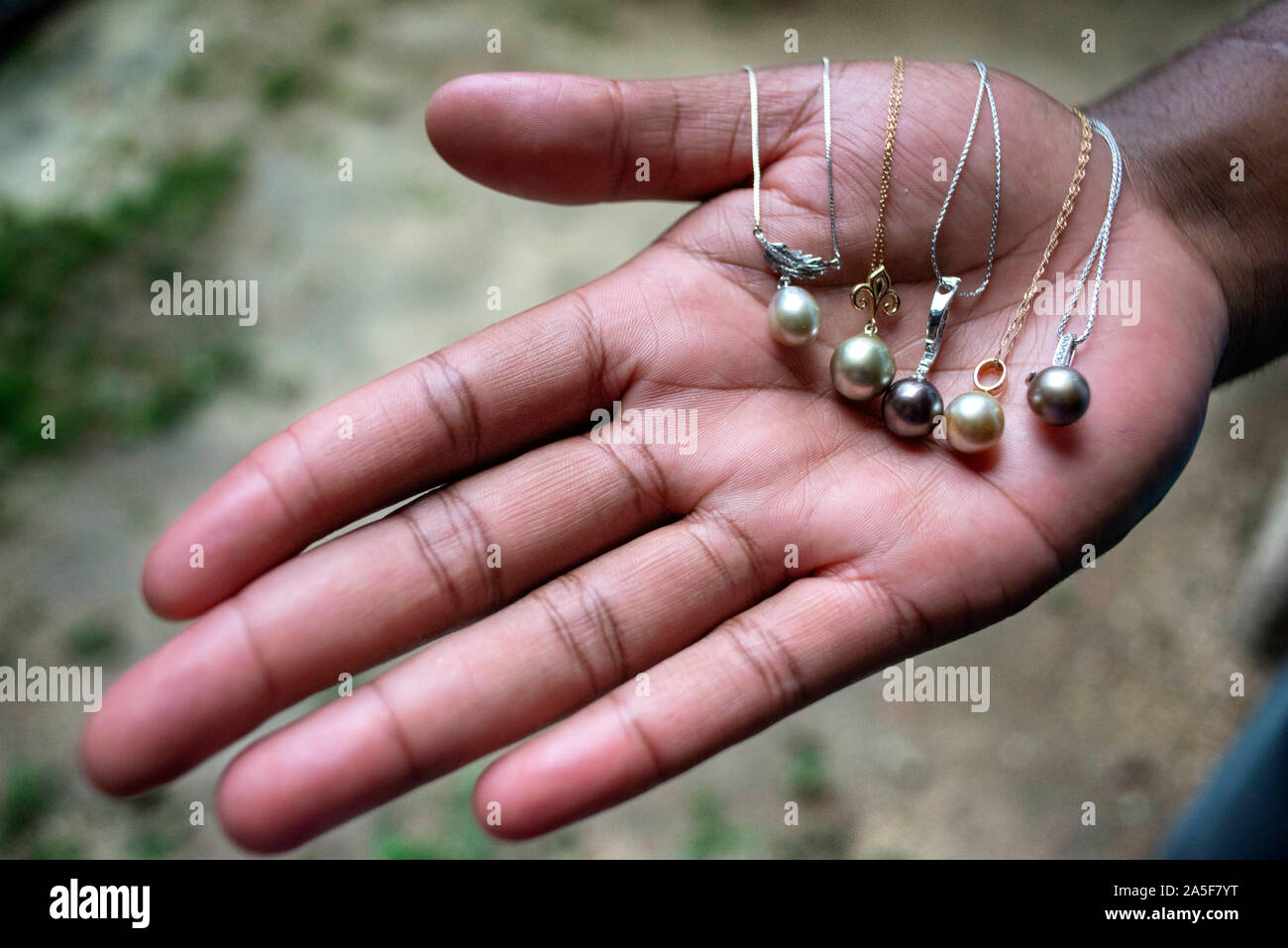 Hands holds a selection of raw Fiji Black lip oyster black pearls.  Mamanucas island group Fiji Stock Photo