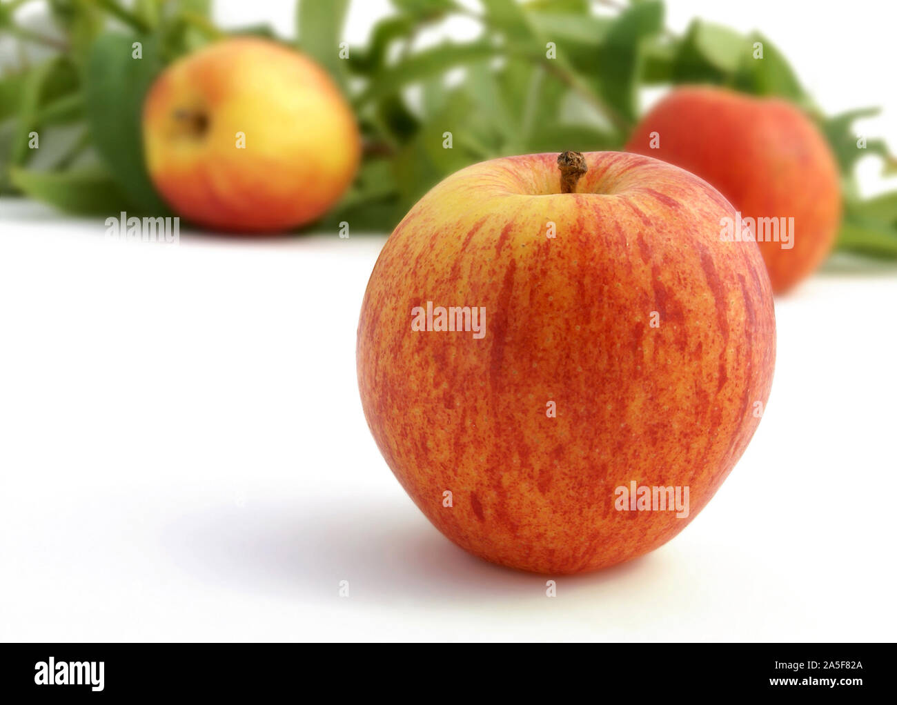 Red and yellow apples . White background Stock Photo