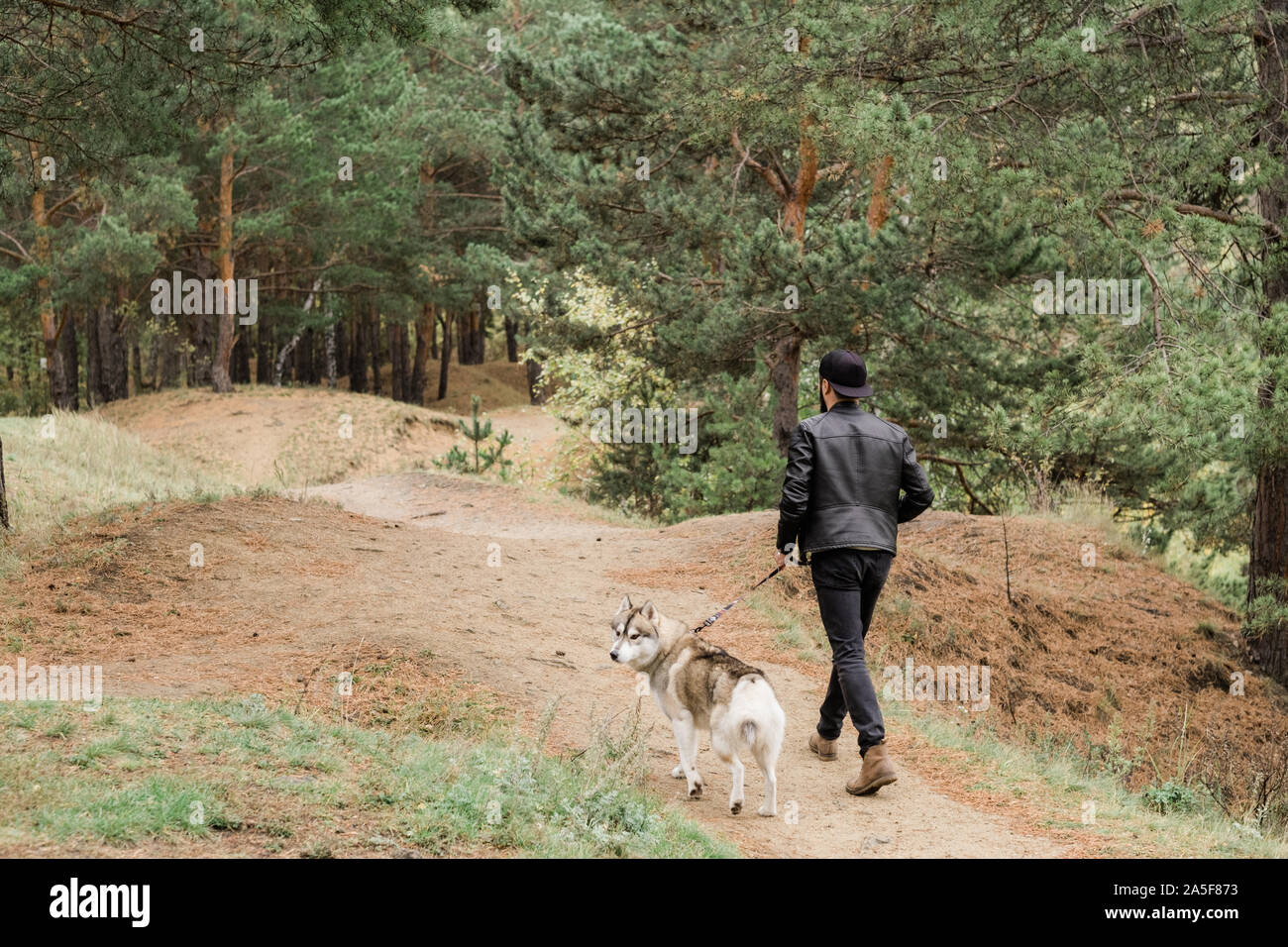 Rear view of young man holding leash of cute purebred husky dog while ...