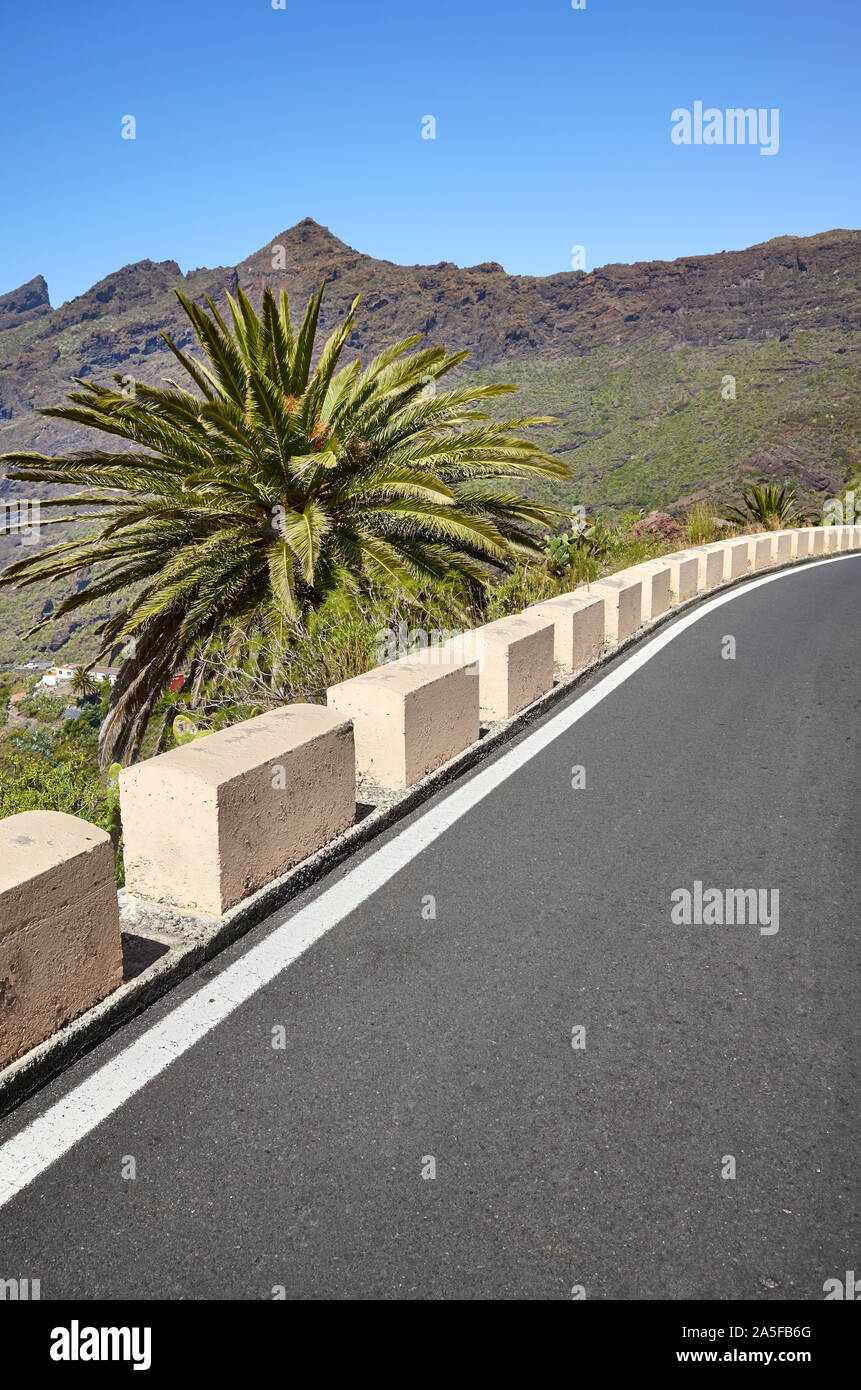 Mountain road with palm tree aside, Tenerife, Spain. Stock Photo