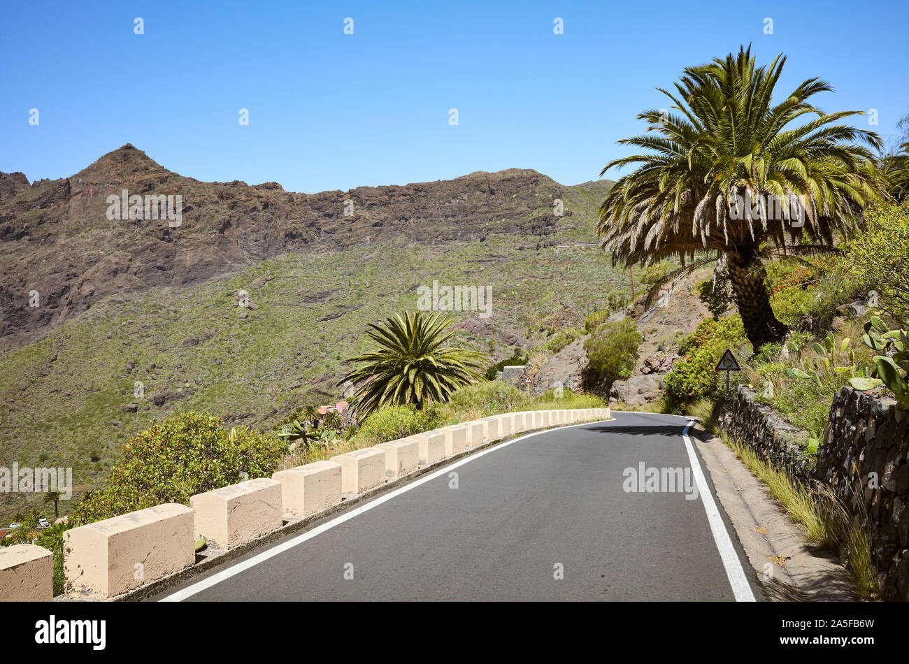 Mountain road with palm trees aside, Tenerife, Spain. Stock Photo