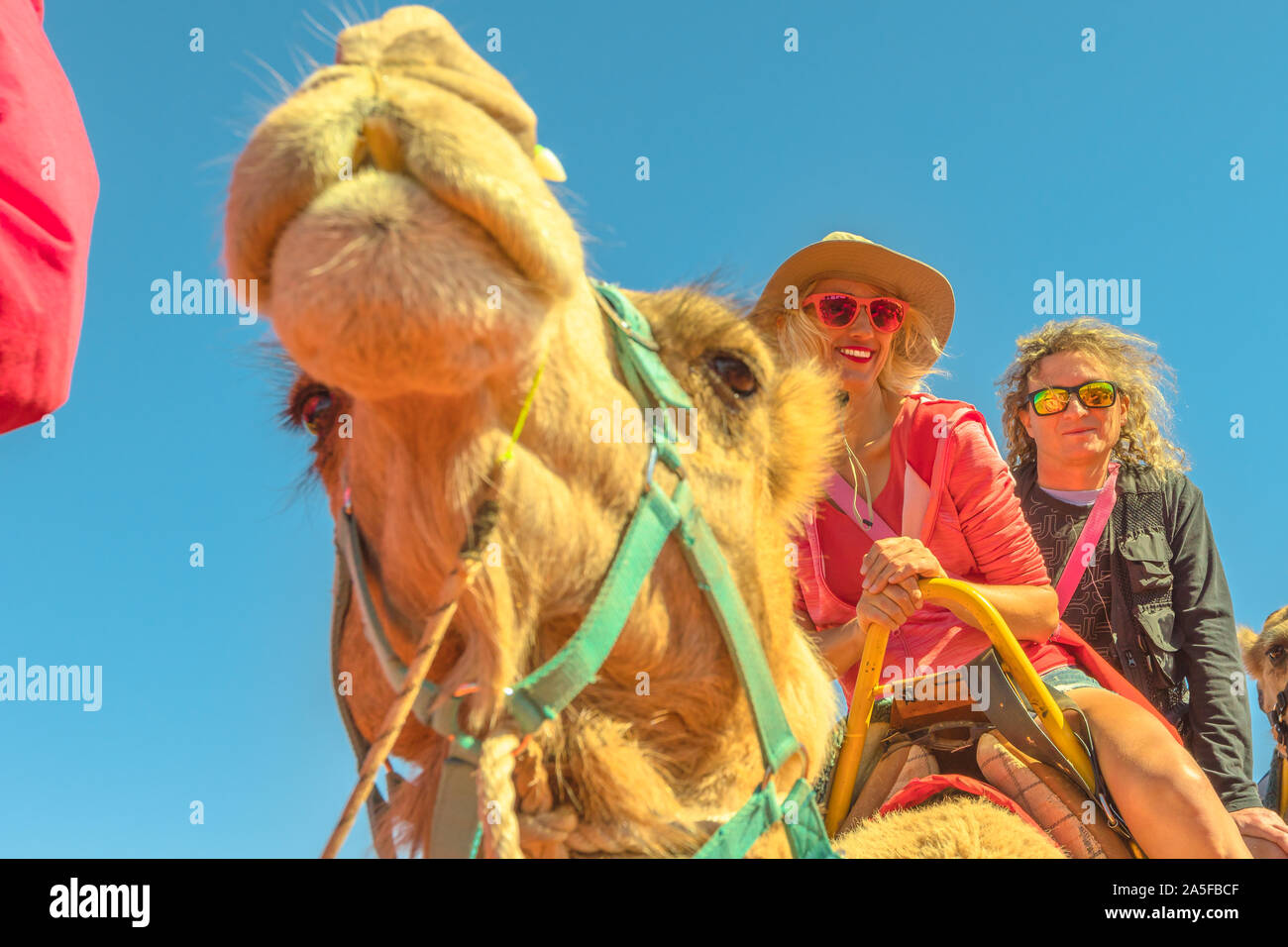 Couple camel riding in Australian desert of Northern Territory. Caucasian tourists enjoys camel ride on red dunes of Red Centre, Central Australia Stock Photo
