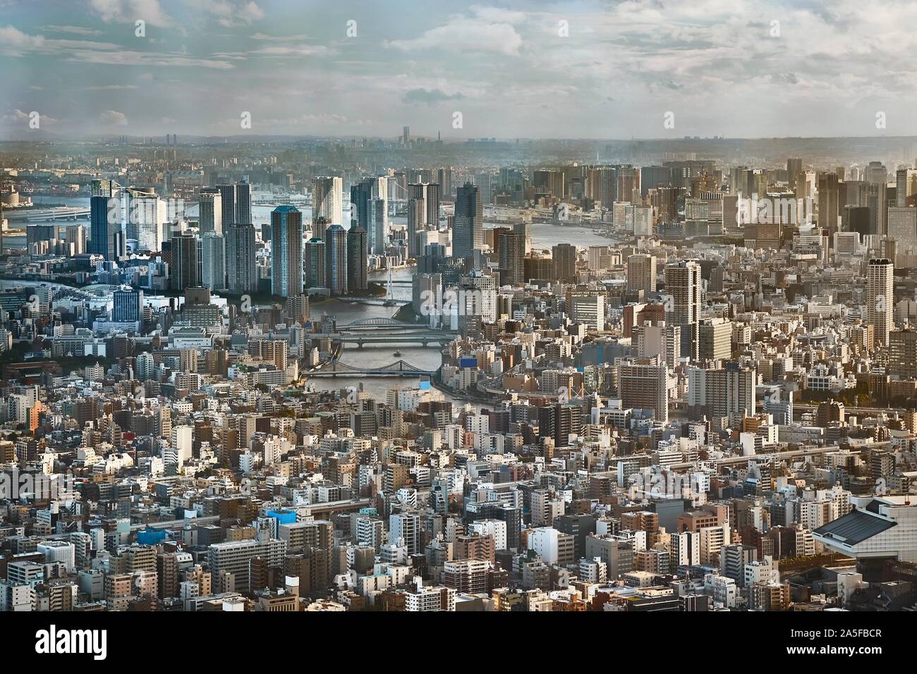Tokyo downtown view from high above Stock Photo