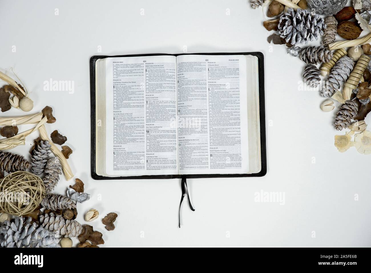 Overhead shot of an opened bible near pine cones on a white surface Stock Photo