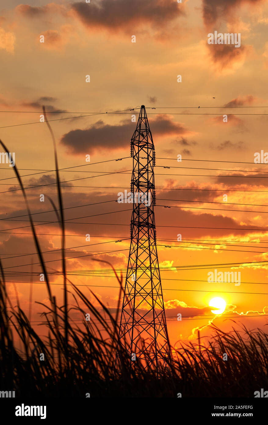 Silhouetted electricity pylons with the vivid sky of sunset Stock Photo ...