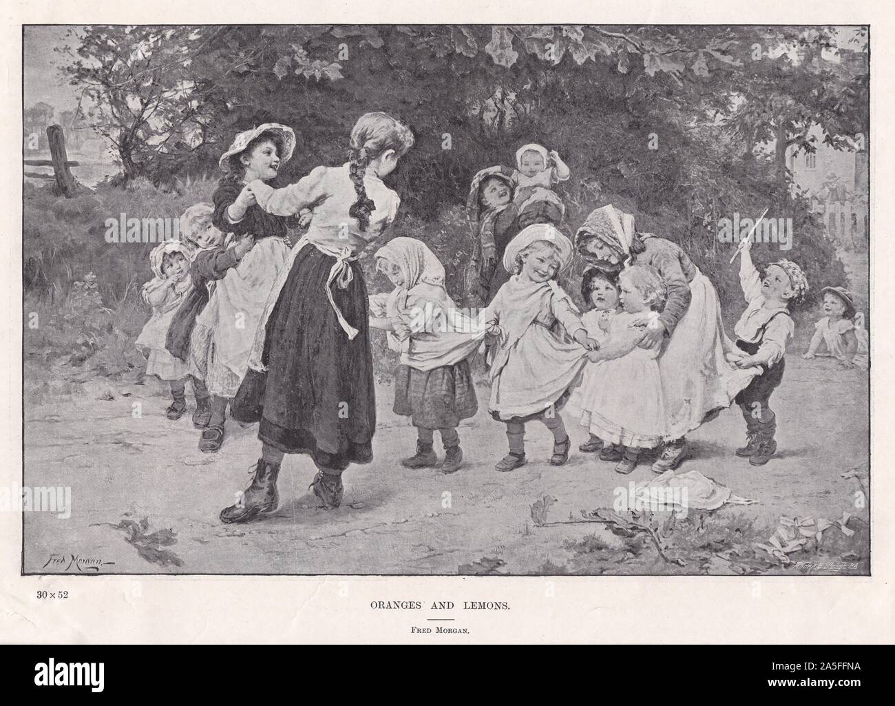 'Oranges and Lemons' by Fred Stock Photo Alamy