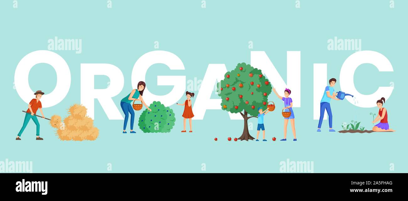 Organic farm harvest word concept banner. Parents and children gathering ripe bio apples and picking black currant with baskets. Rancher near haystack, gardeners planting flowers cartoon characters Stock Vector