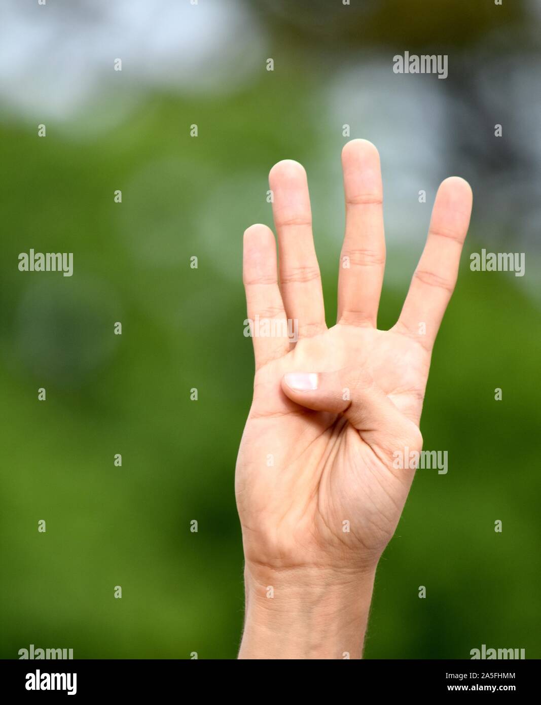 Male Hand Counting Four Stock Photo