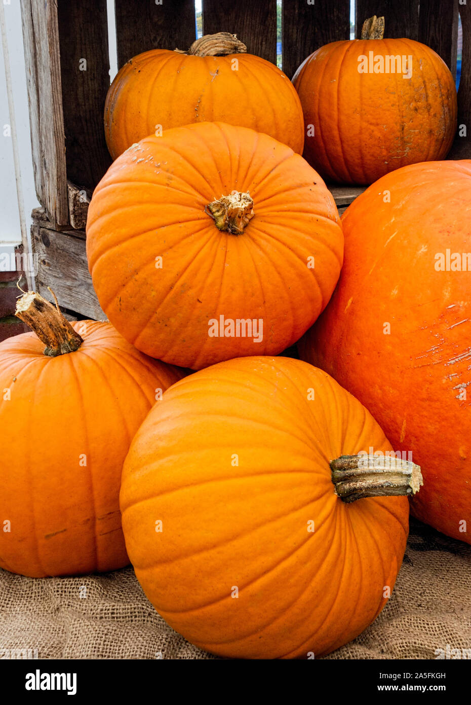 Pumpkin display in wooden crate Stock Photo