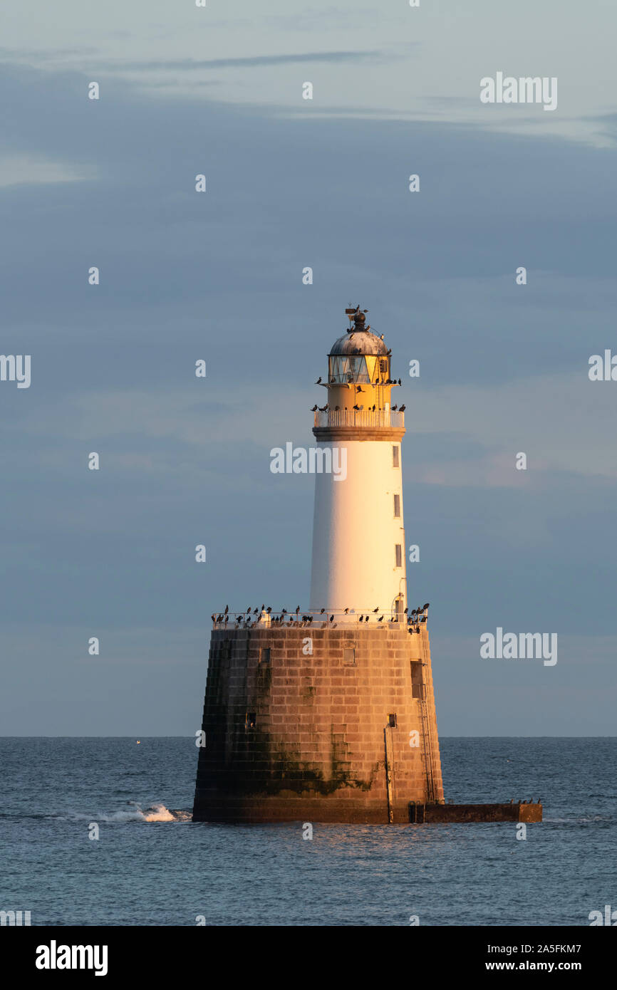 Rattray Head Lighthouse Off the Northeast Coast of Aberdeenshire is a Roost For Cormorants and Other Seabirds Stock Photo