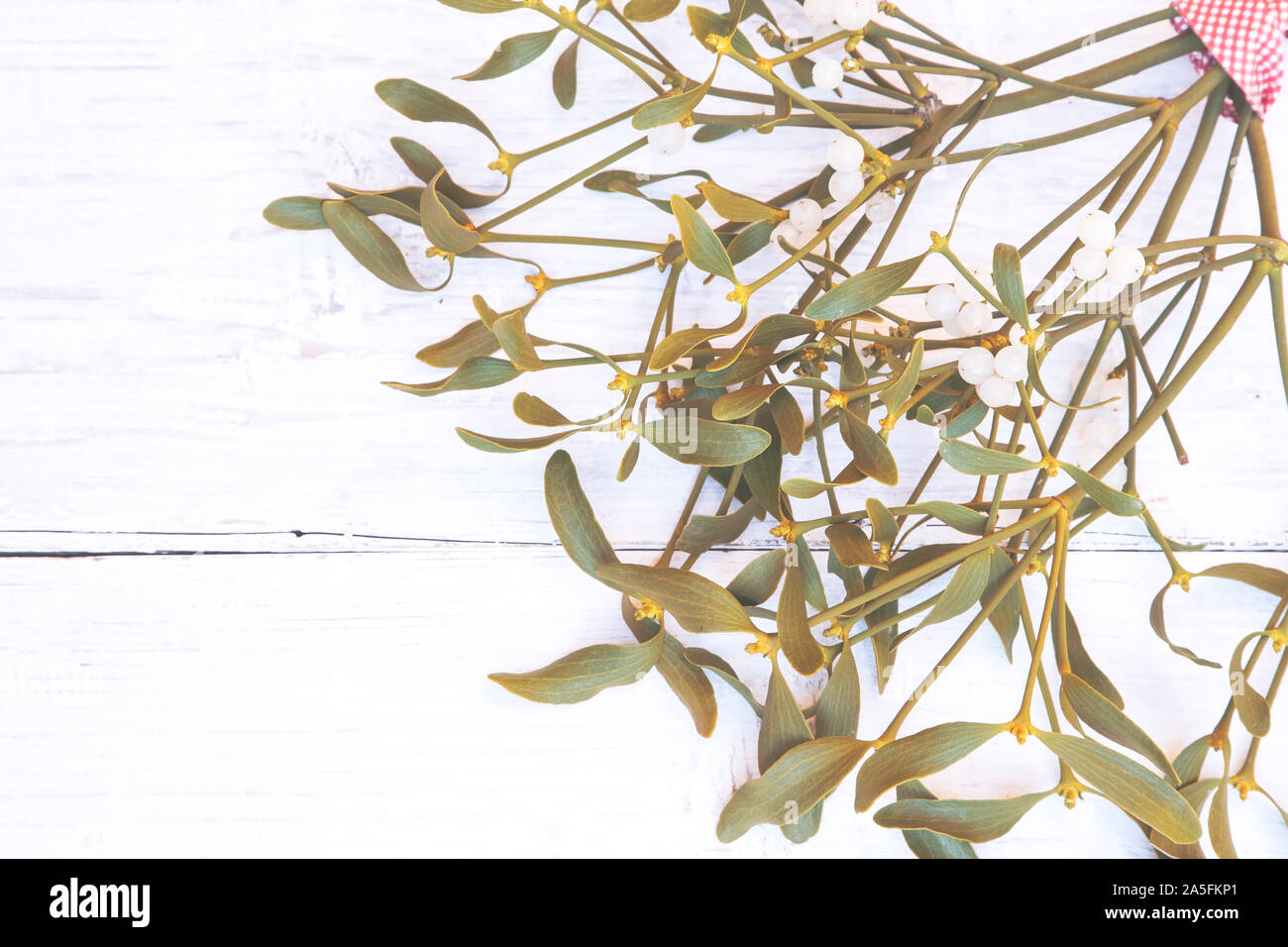 Mistletoe branch on whitewooden background Stock Photo