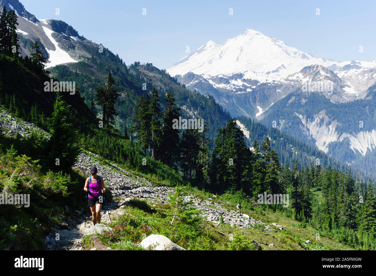 Hiker on Lake Ann trail, Mt Baker in the background. Mount Baker–Snoqualmie National Forest, Washington, USA Stock Photo