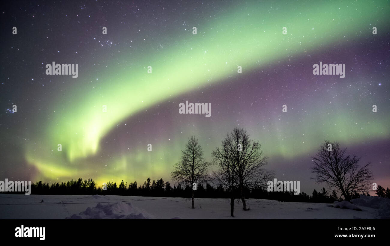 Northern Lights over winter forest landscape, Lapland, Finland Stock Photo