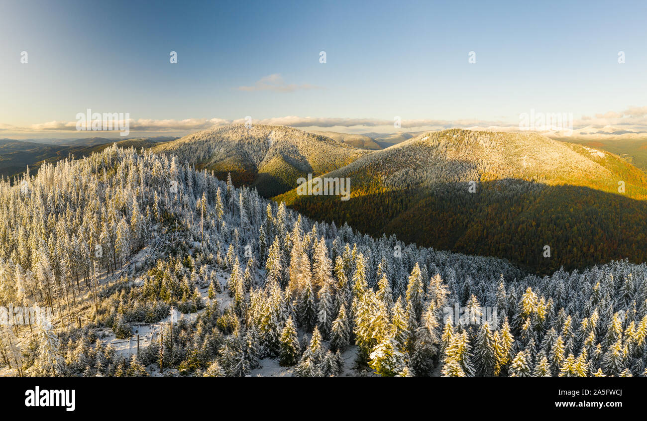 AERIAL: Flight Over Foggy Autumn Colourful Forests Stock Photo - Alamy