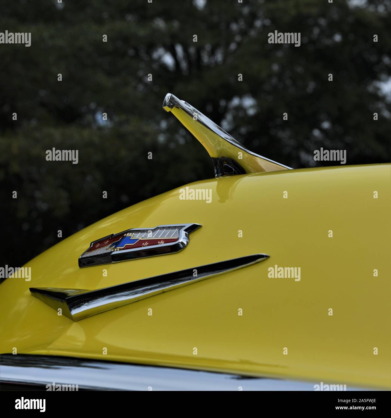 1956 yellow Chevy Bel Air. Stock Photo