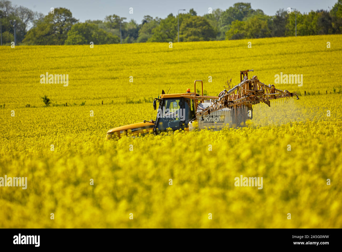Tractor mounted crop sprayer at rapeseed field just outside the M25 near South Mimms Stock Photo