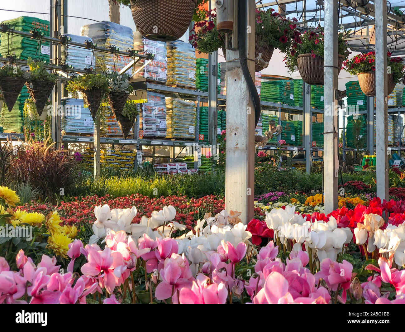 Rows of colorful flowers and plants for sale at a garden nursery at The