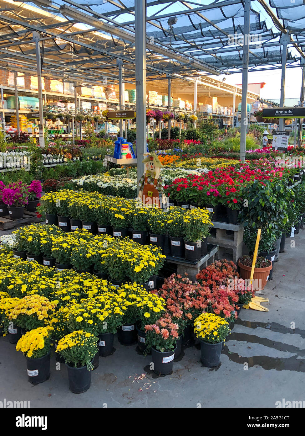 Rows of colorful flowers and plants for sale at a garden nursery at The ...
