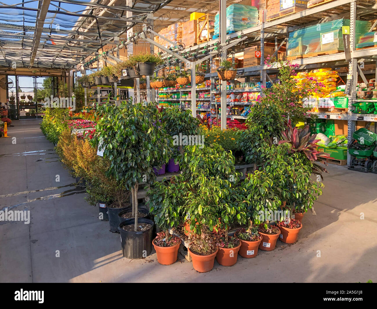 Rows Of Colorful Flowers And Plants For Sale At A Garden Nursery At The Home Depot San Diego Usa October 15th 19 Stock Photo Alamy