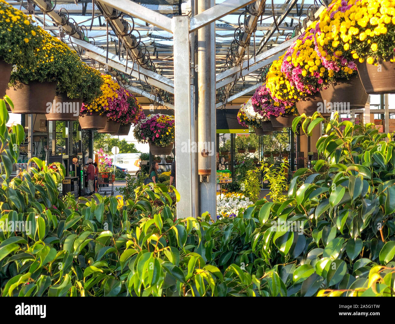 Home Depot Store Garden Center High Resolution Stock Photography And Images Alamy