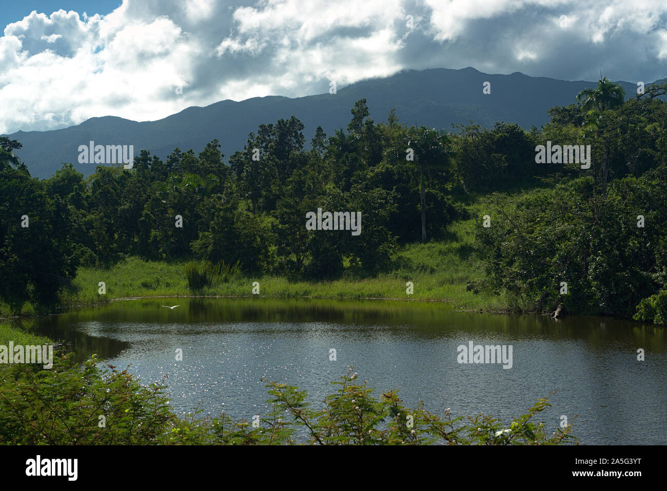 Lake near Highway in Rio Grande Stock Photo