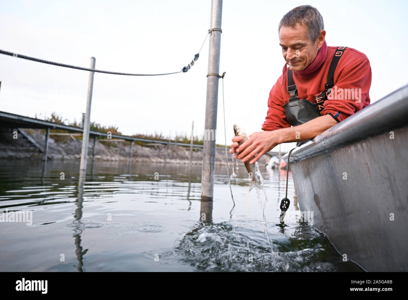 15 October 2019, BadenWuerttemberg, Überlingen Fischer Andreas Geiger