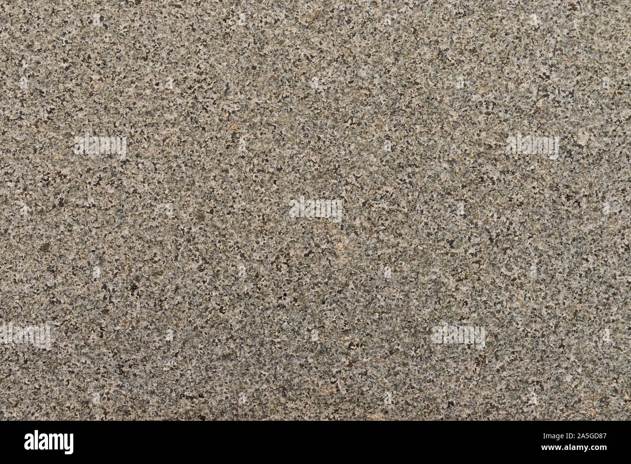 Texture of white color gravel concrete wall for background Stock Photo ...