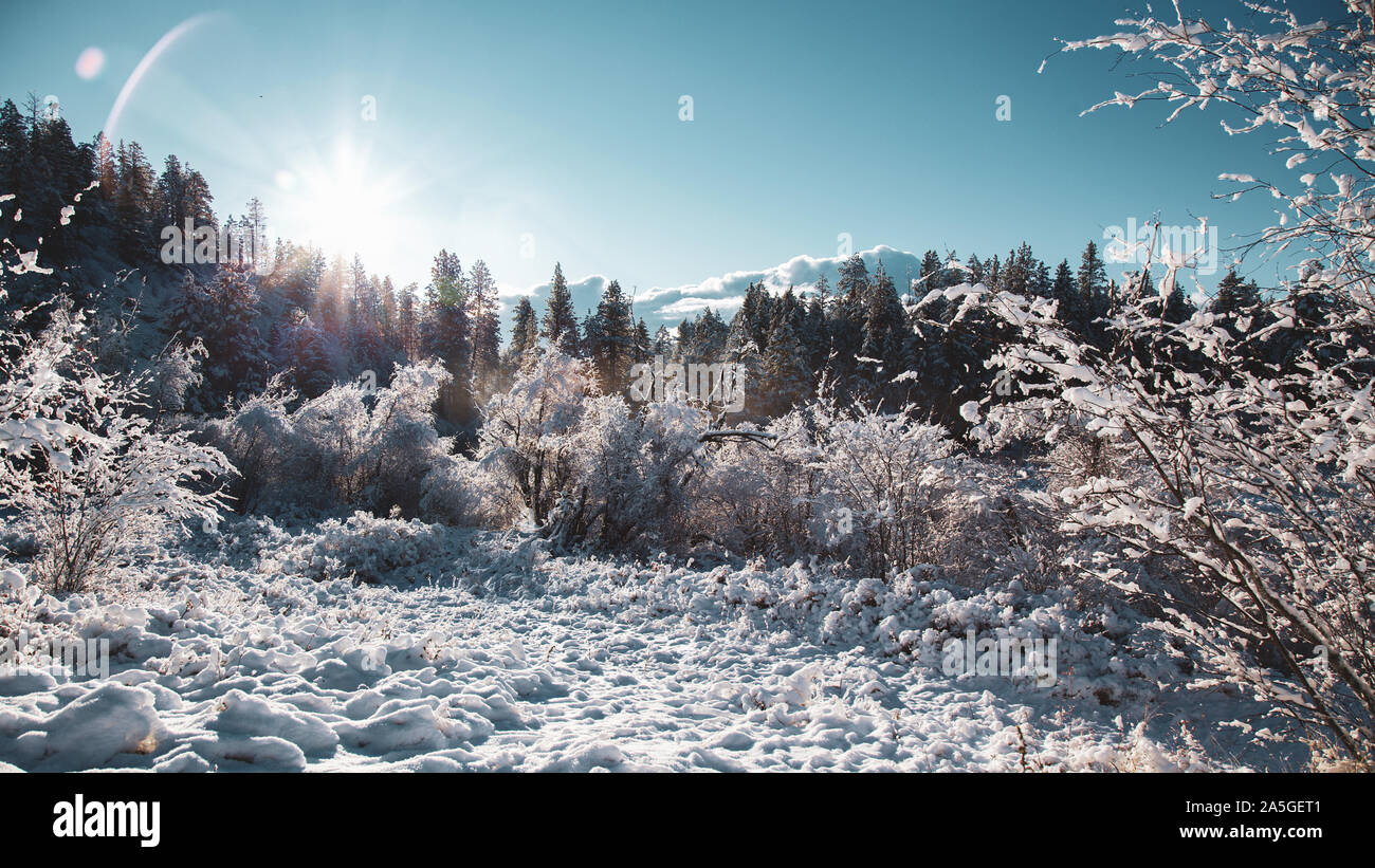 Winter landscape with morning sun rising above evergreen forest covered hill on a freezing cold morning Stock Photo