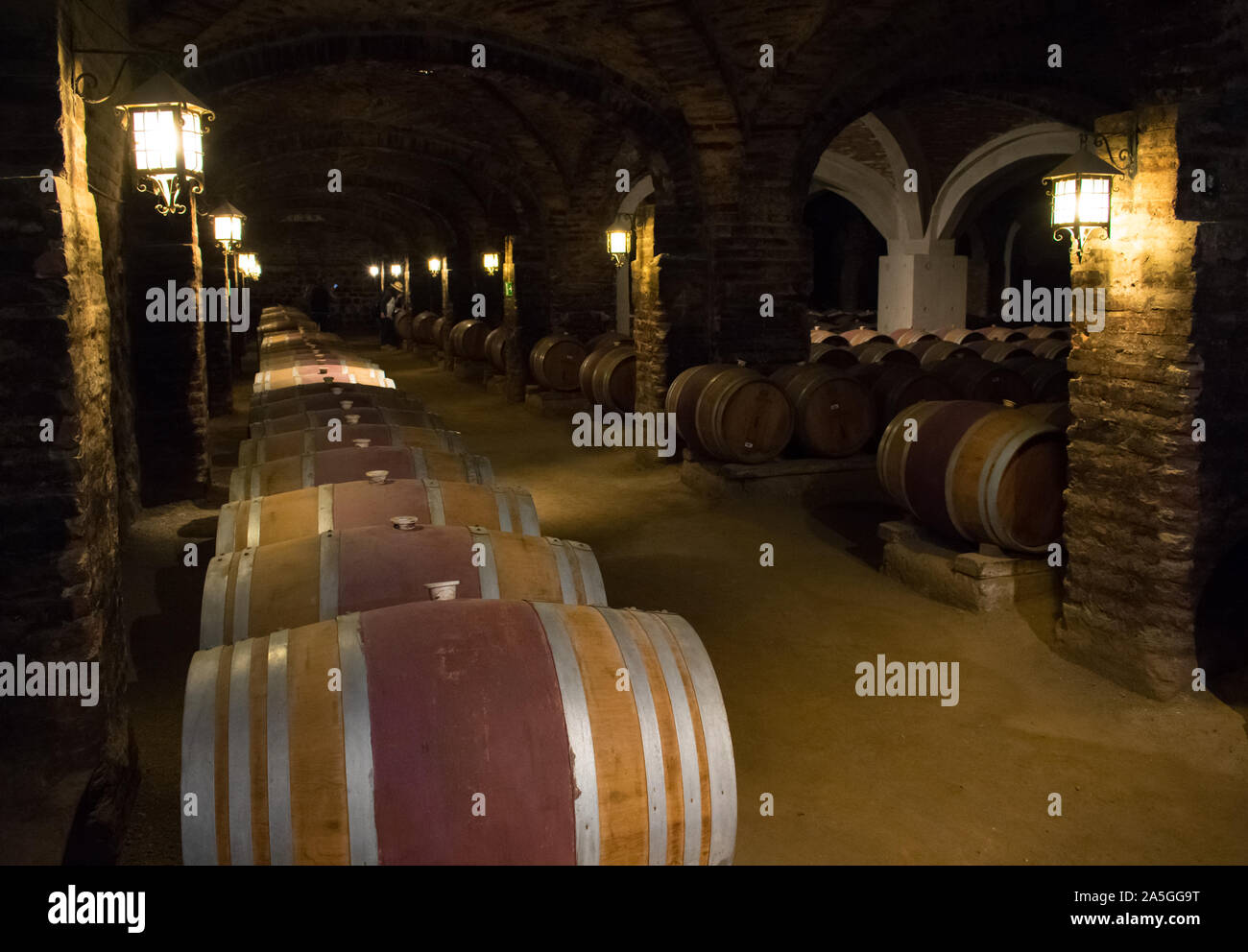 Underground Wine Storage Cellar With Rows Of Kegs for Aging Wine Stock Photo