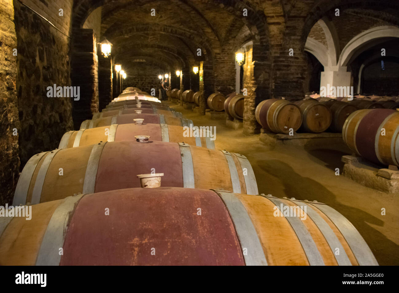 Underground Wine Storage Cellar With Rows Of Kegs for Aging Wine Stock Photo