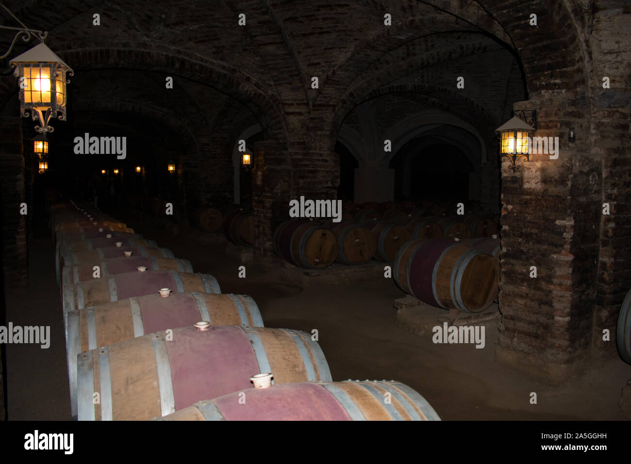Underground Wine Storage Cellar With Rows Of Kegs for Aging Wine Stock