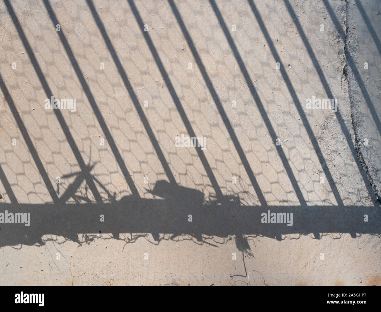 Shadow of gate with Hexagonal chicken wire on a concrete sidewalk Stock