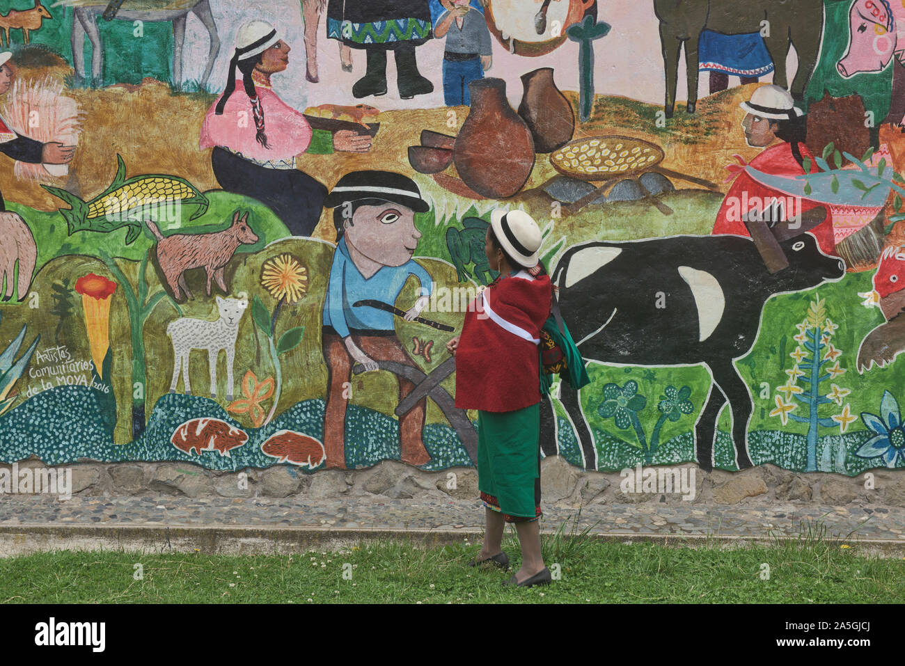 Indigenous highlander admiring a local mural, La Moya, Ecuador Stock Photo