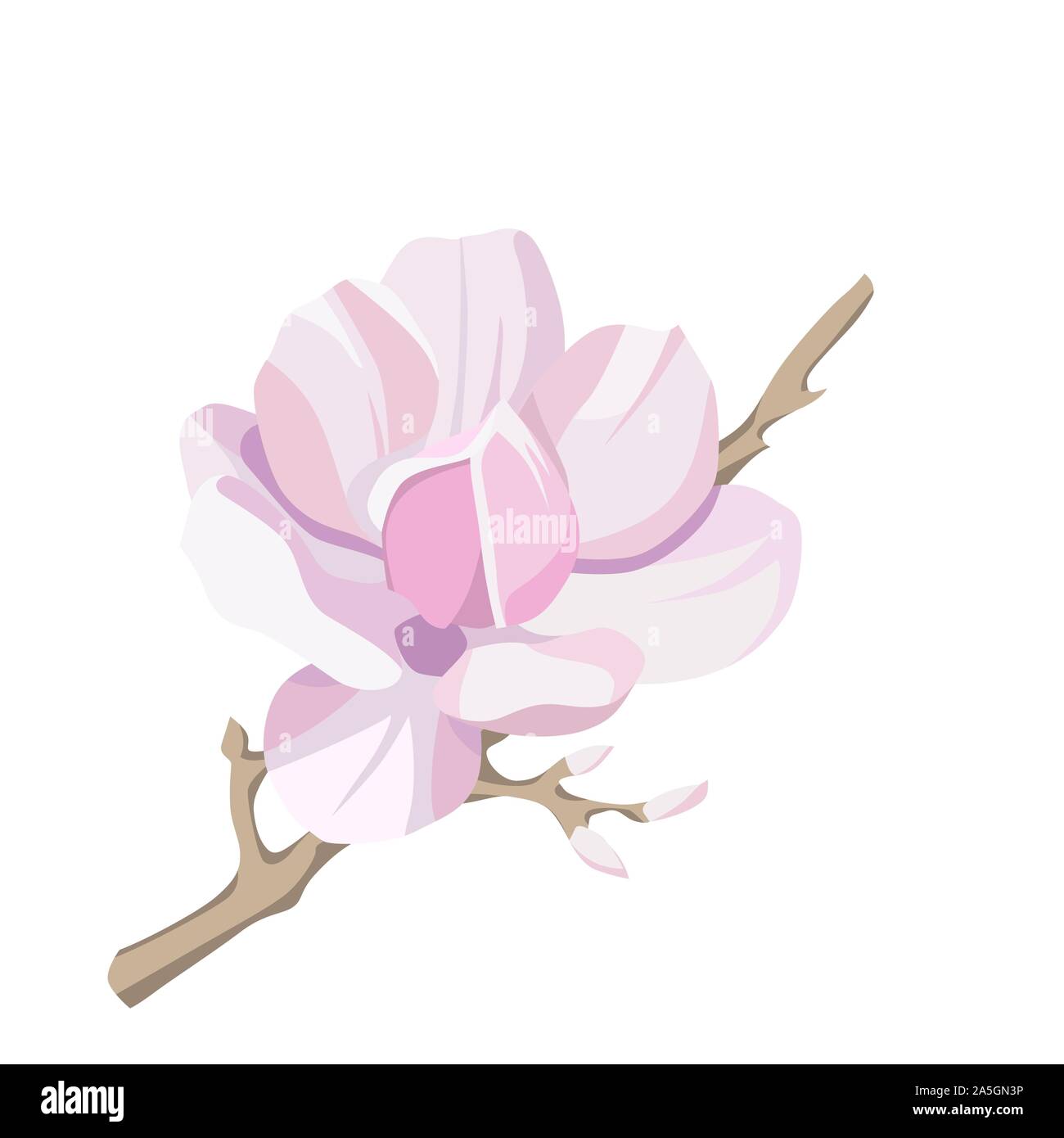 Magnolia-tree flower isolated on white background. Contour silhouette of a flowering branch. Vector illustration Stock Vector