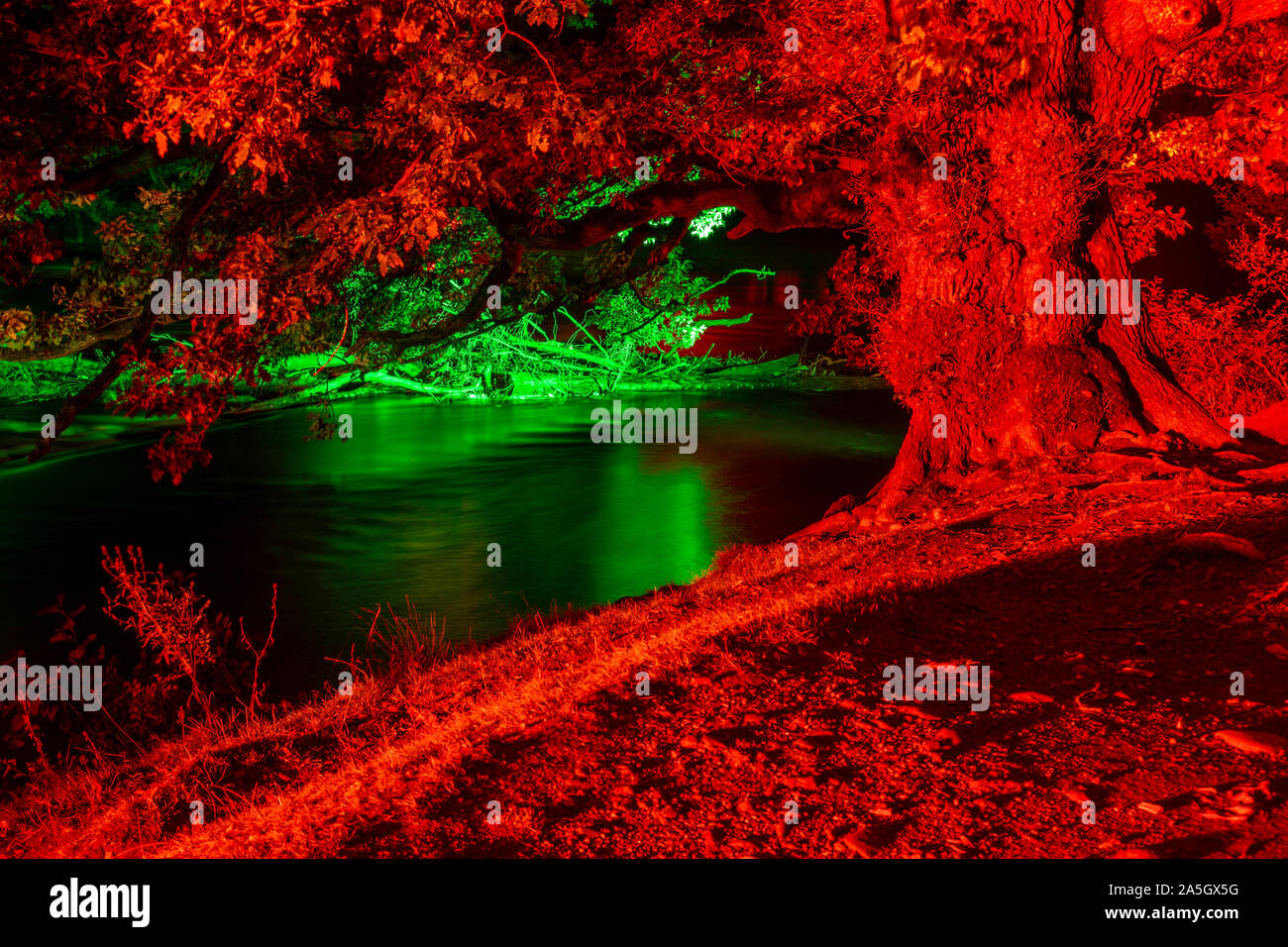 Night time illuminations of trees and river at Horseshoe Falls, River Dee, Llangollen, North Wales Stock Photo