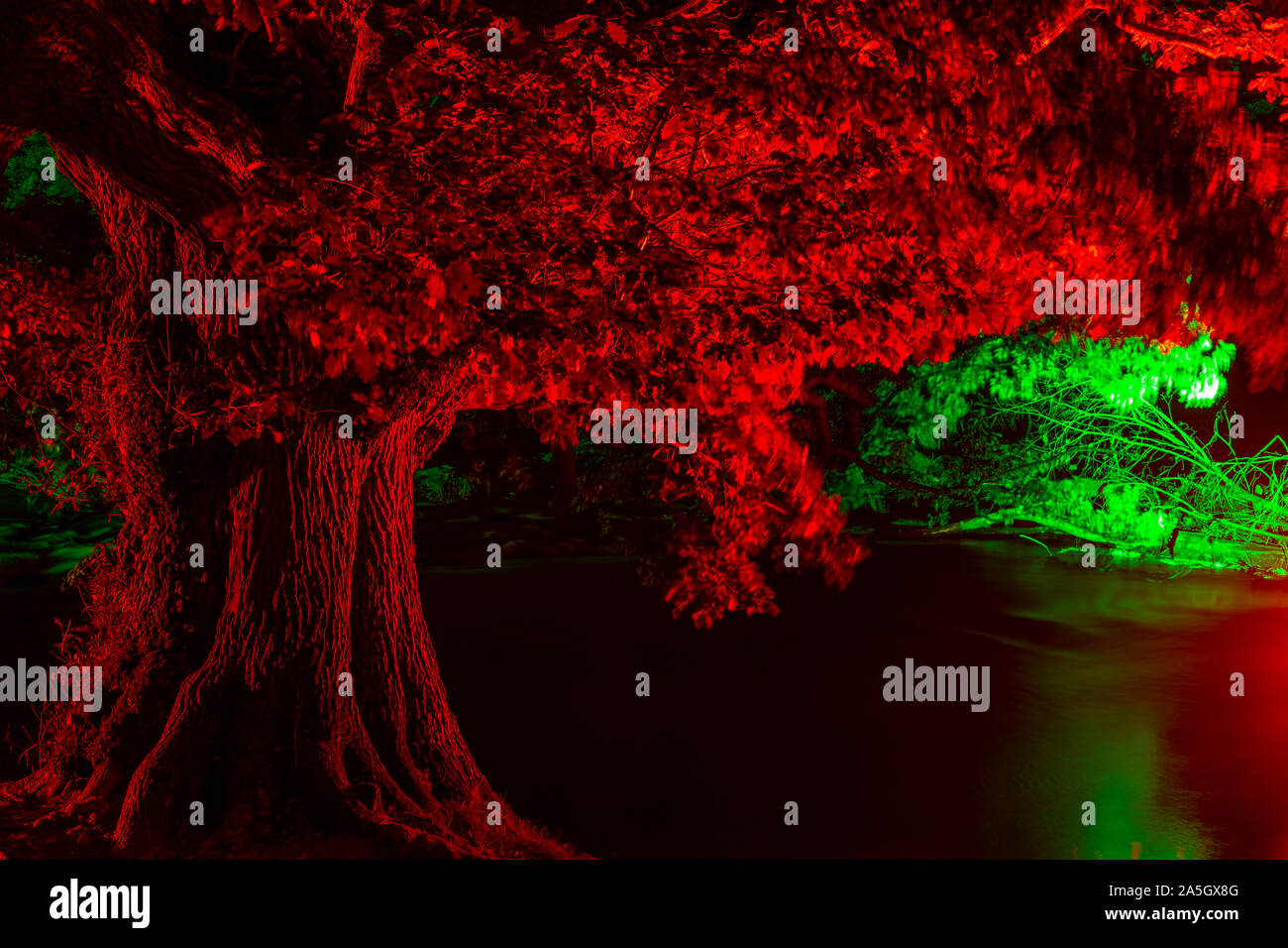 Night time illuminations of trees and river at Horseshoe Falls, River Dee, Llangollen, North Wales Stock Photo
