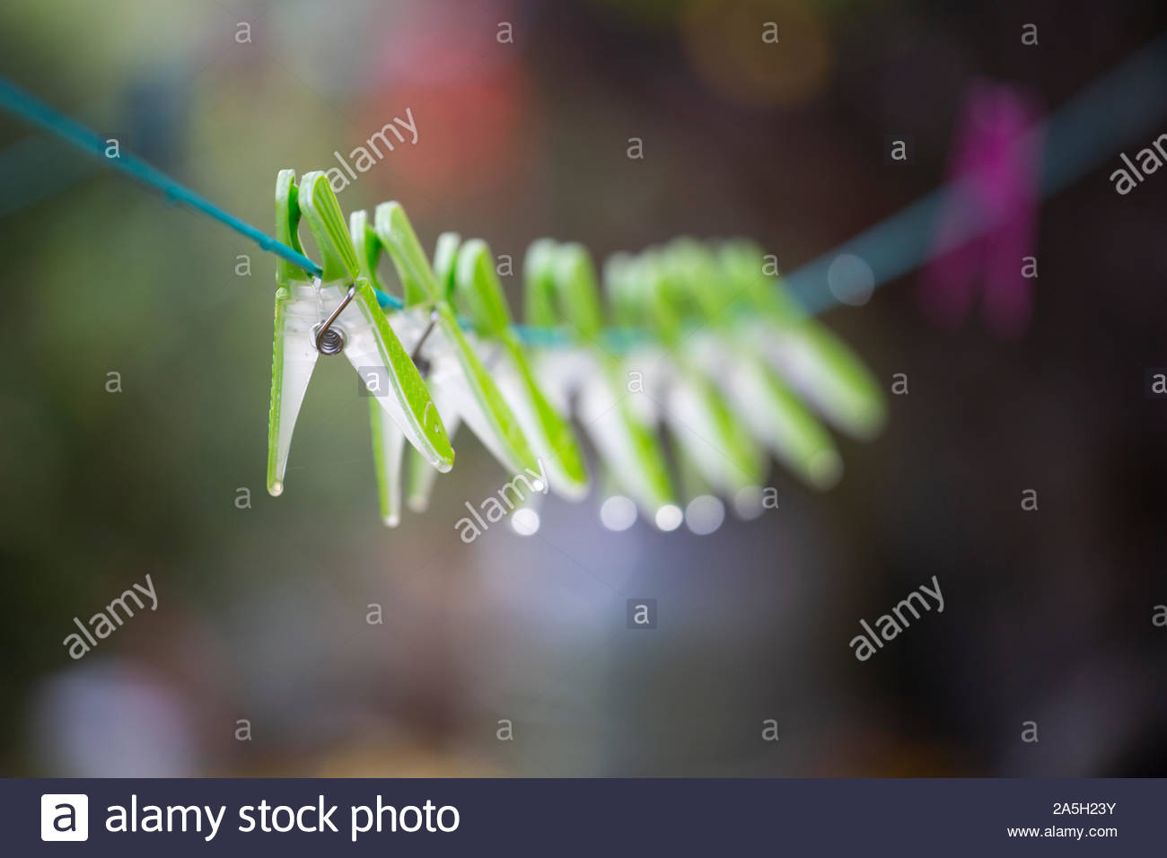 Green clothespegs on a washing line in a garden in Autumn Stock Photo
