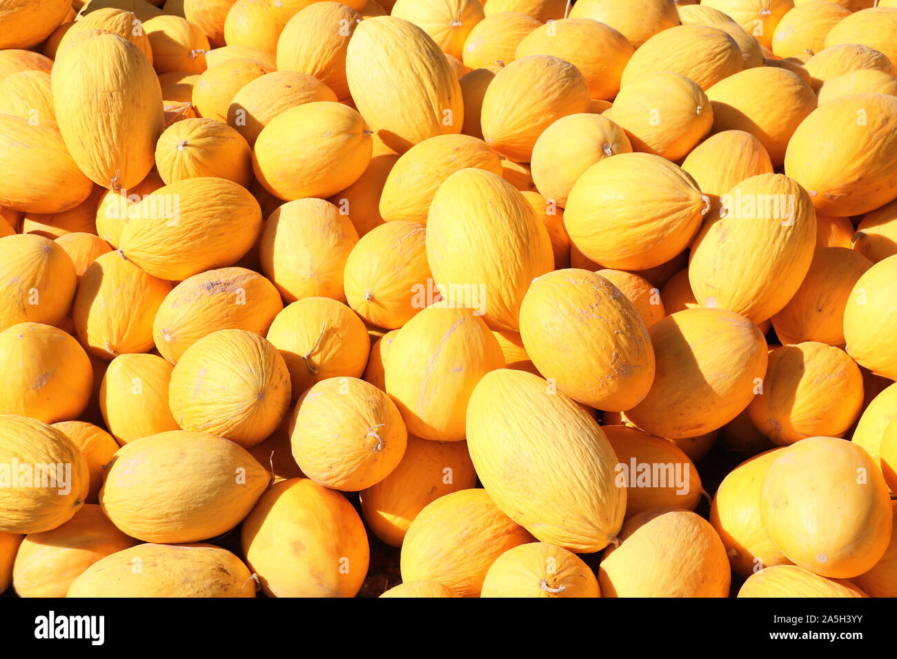 Ripe yellow melons at a farmers market, Iran Stock Photo