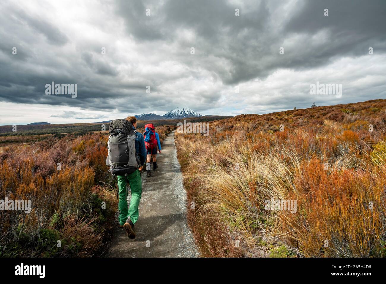 Hikers on hiking trail Tongariro Northern Circuit, Great Walk, Volcano ...