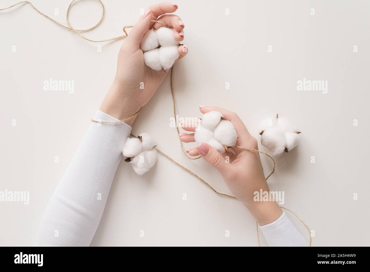 Girl's hand on a white background with the colors of the cotton. Tenderness and care for the skin, the concept of rejuvenation and anti-aging creams and procedures. Sewing the concept, the manufacture of cotton fabrics. Stock Photo
