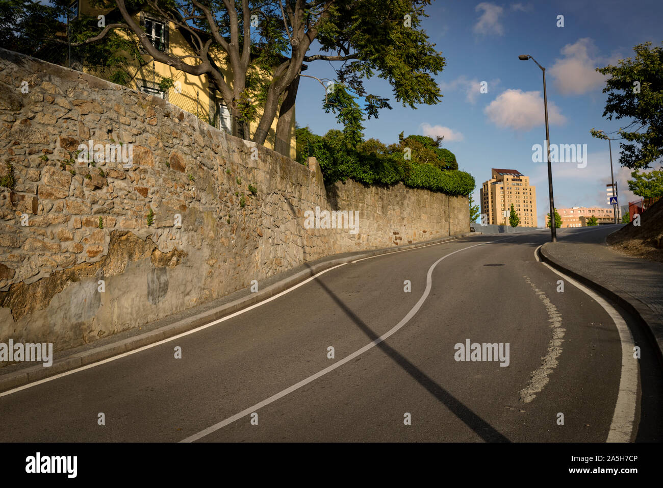 Trees empty street in hi res stock photography and images Alamy