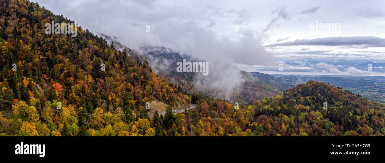 Aerial drone view of a misty foggy mountain road as it winds through the clouded autumn forest in the Alpine Jura Mountains. Stock Photo