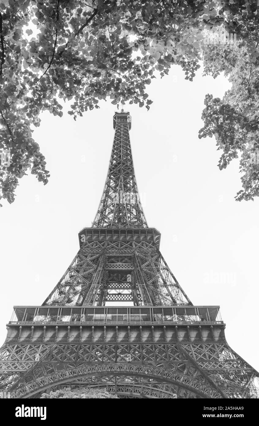 black and white low angle shot of eiffel tower Stock Photo