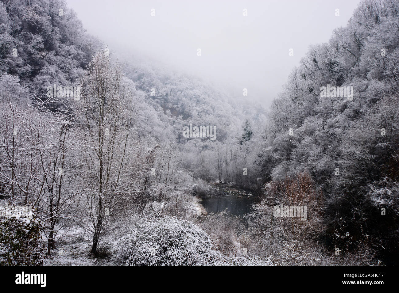 it snows abundantly on meadows and forests Stock Photo