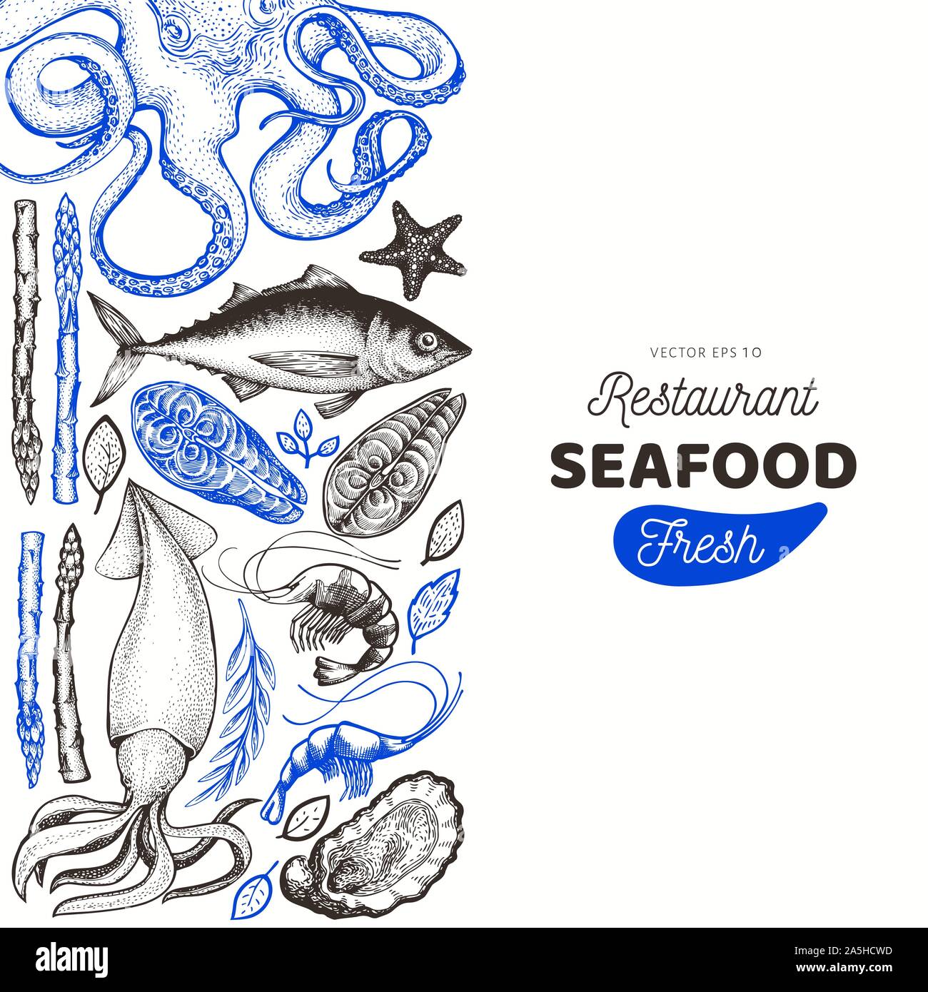 Seafood and fish design template. Hand drawn vector illustration. Can ...