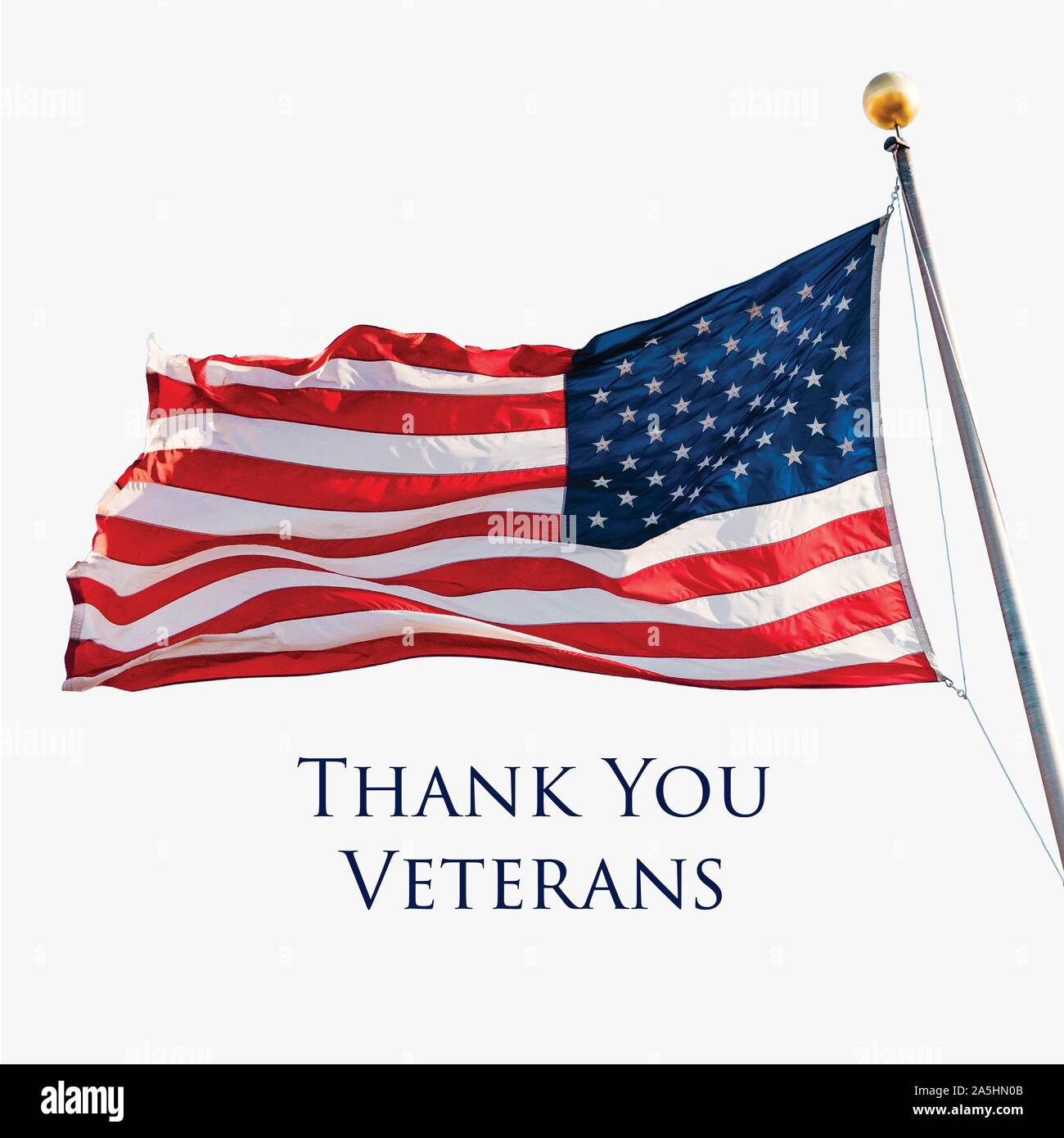 Thank You Veterans holiday banner with American Flag.  Stock Vector
