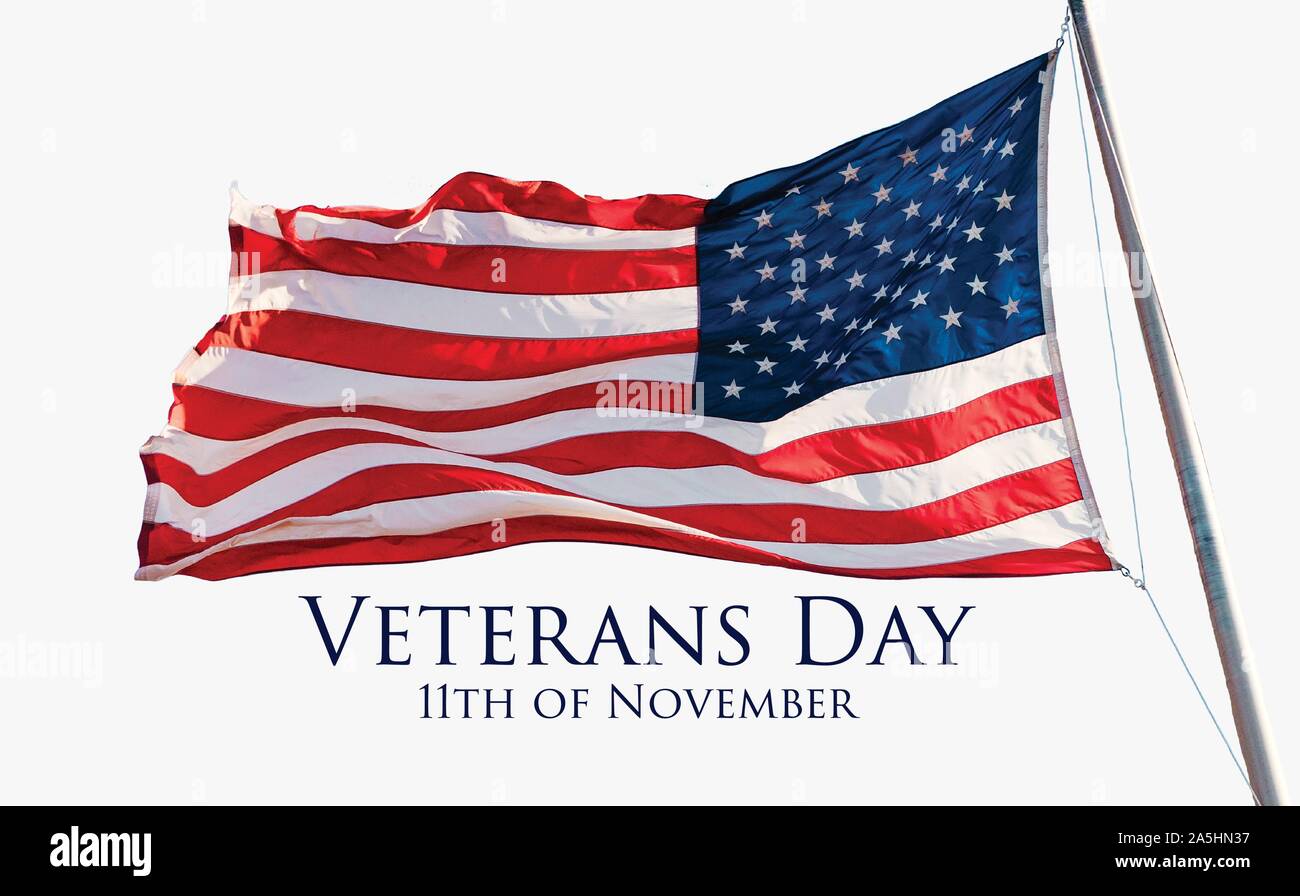 Veterans Day 11th of November holiday Banner.  Stock Vector